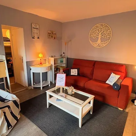 A Avec Acces Direct A La Et Parking Privatif - Fr-1-465-132 Apartment *